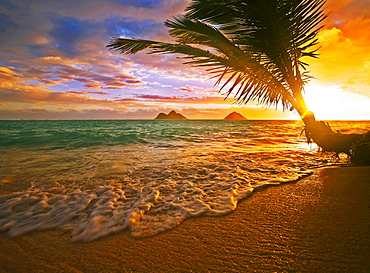 Hawaii, Oahu, Lanikai beach at sunrise.