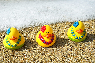 Three toy hula ducks on sandy beach with seafoam in background.