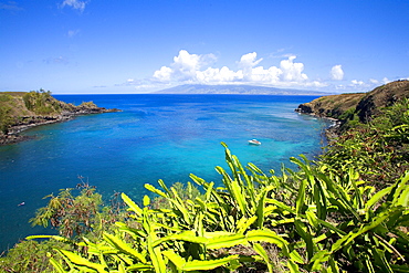 Hawaii, Maui, Honolua Bay, green brush overlooking bright blue water, Molokai in the distance.