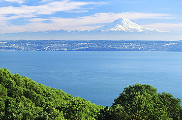 Washington, Seattle, View of Mt.Rainier from Puget Sound, Greenery in foreground.