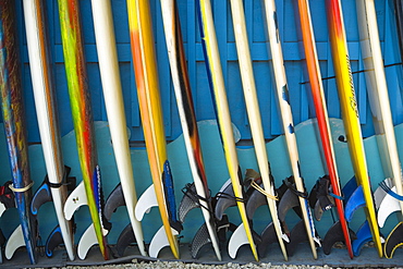 Row of surfboards lined up against a wall.