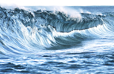 Hawaii, Oahu, North Shore, beautiful textures surface of a shorebreak wave about to crash.