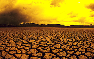 California, El Mirage, Dry lake bed, Cracked mud in warm afternoon lighting.