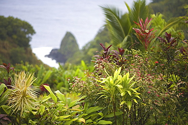 Hawaii, Maui, Hana, Scene from the Garden of Eden.