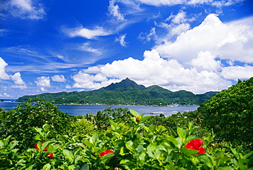 American Samoa, Pago Pago Harbor, greenery and flowers, clouds in sky