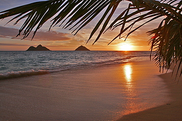 Hawaii, Oahu, Lanikai, early morning with the Mokolua islands in the distance and a Palm frond in the foreground.