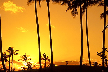 Silhouette of palm trees and female stretching on horizon at sunset with orange sky