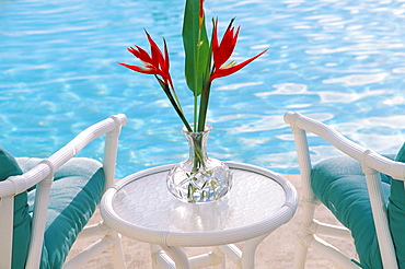 Poolside floral arrangement, tropical, red heliconia