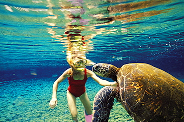 Hawaii, Woman snorkeling underwater with green sea turtle.