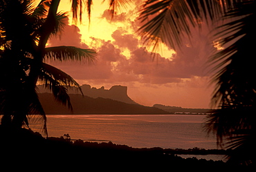 Micronesia, Caroline Islands, Pohnpei, Sokehs Rock Lagoon and palm trees. dramatic sunset