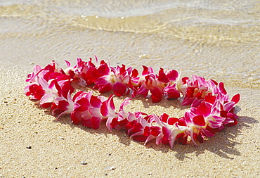 Close-up of an orchid lei on the beach, clear water