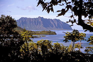 Hawaii, Oahu, View from shadows of Kaneohe Bay in afternoon.