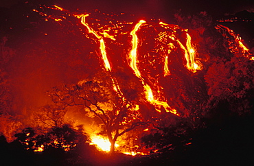 Hawaii, Big Island, Hawaii Volcanoes National Park, lava flows into forest burning trees