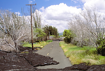 Hawaii, Big Island, Kalapana, Lava flow covers tree lined road