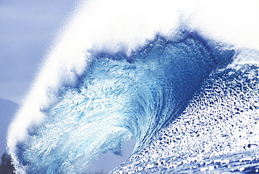 Hawaii, Oahu, Perfect wave at Pipeline.