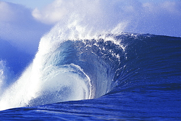 Hawaii, Oahu, Perfect wave at Pipeline.