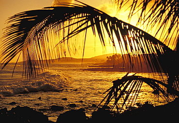 Hawaii, Kauai, Poipu, Tropical sunset with  palm fronds