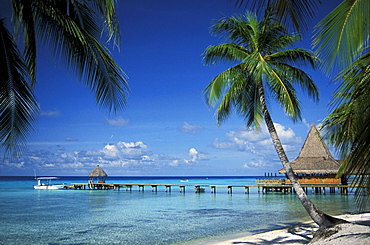 French Polynesia, Tuamotu Islands, Rangiroa Atoll, Kia Ora, bungalows on ocean from shore.