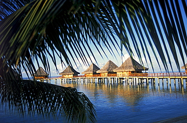 French Polynesia, Tuamotu Islands, Rangiroa Atoll, Kia Ora, view of bungalows on ocean