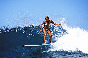 Hawaii, young Caucasian woman surfing wave