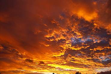 Spectacular large clouds at sunrise, orange pink golden sky A35F