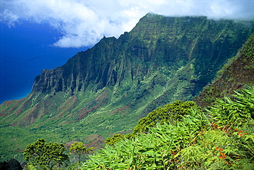 Hawaii, Kauai, North Shore, Kalalau Valley, Kokee State Park B1528