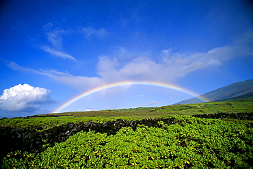 Hawaii, Maui, Rainbow over Kaupo, B1453