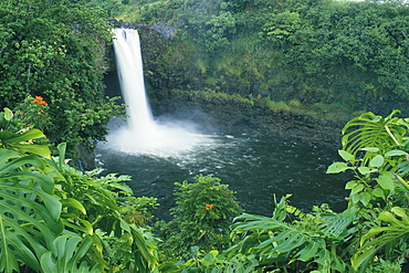 Hawaii, Big Island, Hilo, Rainbow Falls view from distance surrounded by tropical foliage C1638