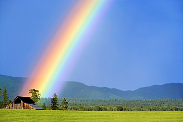 Agriculture - A rainbow appears to emanate from an old weathered barn / near Whitefish, Montana, USA.