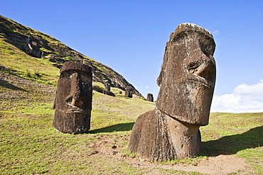 Moais By The Quarry On The Outer Slope Of The Rano Raraku Volcano, Rapa Nui (Easter Island), Chile