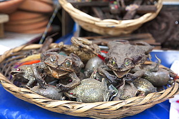 Dried Frogs Sprinkled With Gold Dust (A Good Luck Charm) For Sale At The Mercado De Las Brujas (Witches' Market) On Calle Linares In La Paz., La Paz Department, Bolivia