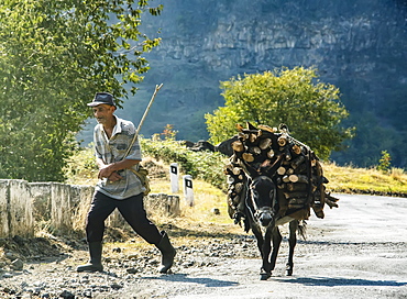 Man and donkey laden with firewood, Lori Province, Armenia