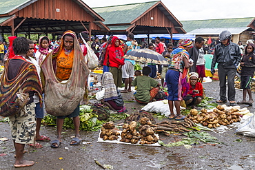 Vegetable vendors at the market, Wamena, Papua, Indonesia