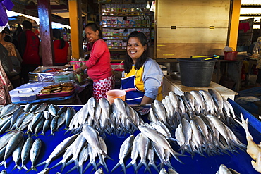 Fishmonger at the Bolu market, Rantepao, Toraja Land, South Sulawesi, Indonesia