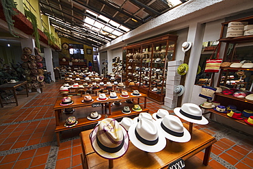 Panama hats for sale in the showroom of the Barranco Panama Hat Factory, Cuenca, Azuay, Ecuador