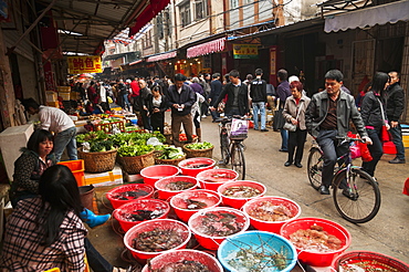 Bashi market, eighth market, a traditional Chinese market where we can find all different kinds of food, Xiamen, Fujian Province, China