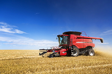 Combine harvesting rows of barley with blue sky and clouds, Acme, Alberta, Canada