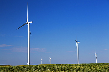 Wind turbines from the Elk Wind Energy Farm and a corn field, near Edgewood, Iowa, United States of America