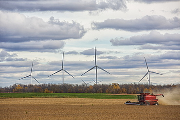 A combine harvests soybeans while wind turbines spin in the distance, Strathroy, Ontario, Canada