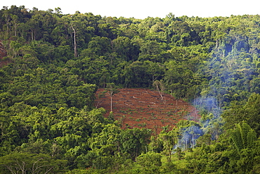 Deforestation, Mondulkiri, Cambodia