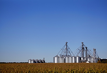 Metal grain bins with blue sky and crop, Quebec, Canada