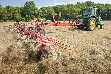 Tractor tedding hay, Sudlersville, Maryland, United States of America