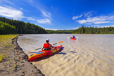 A group of kayakers paddles on the Tanana River near Delta Junction; Alaska, United States of America