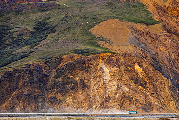 A bus stirs up dust along the park road in Denali National Park while passing underneath a group of Dall sheep (ovis dalli) near the base of Polychrome Mountain; Alaska, United States of America