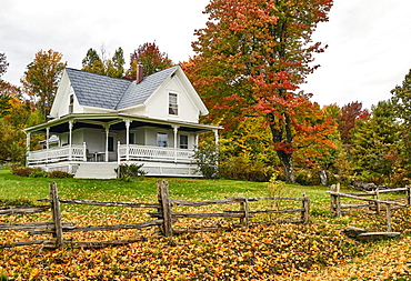 19th Century Farmhouse In Autumn; Dunham, Quebec, Canada