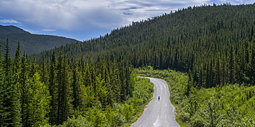 A cyclist rides in the middle of the road with dense forest in the foothills of the Rocky mountains; Longview, Alberta, Canada