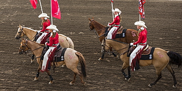 Cowgirls in red and white riding horses and carrying flags at the Calgary Stampede, Calgary, Alberta, Canada