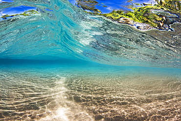 Coastline foliage can be seen through a small wave as it passes over a shallow sandy bottom off the island of Maui, Maui, Hawaii, United States of America