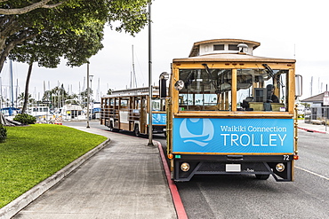 Waikiki trolleys waiting for passengers on Holomoana Street near the Ala Wai boat harbor (in background) in Waikiki, Honolulu, Oahu, Hawaii, United States of America