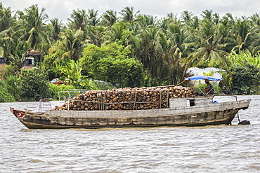 Boat laden with coconuts in the Mekong River, Ben Tre, Vietnam